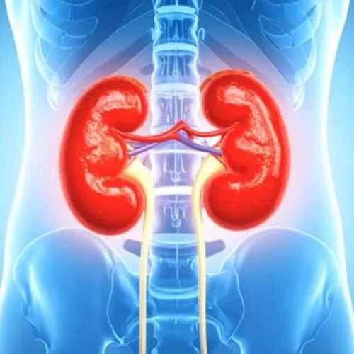 Cure kidney stones disease with ayurvedic medicine
