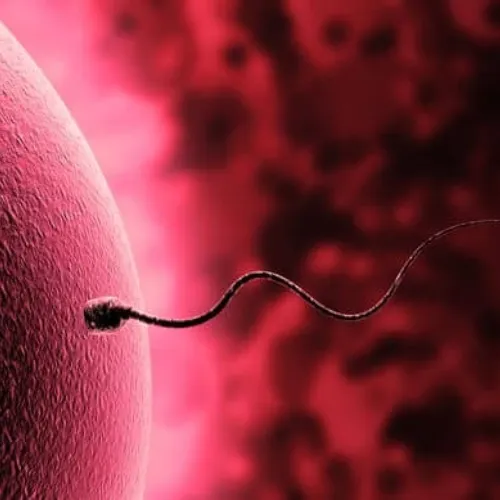 Low sperm count natural treatment with ayurveda