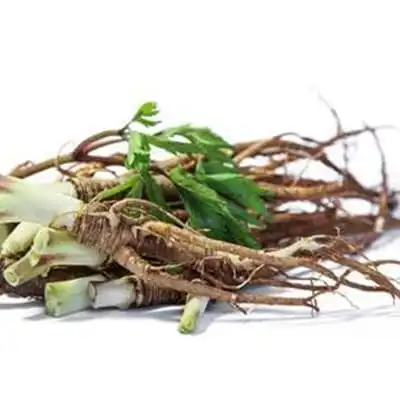 Holistic natural desi medicine