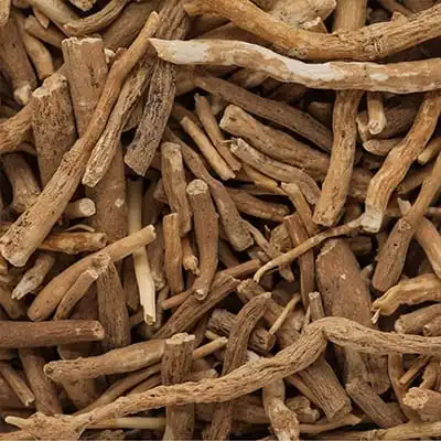 Traditional Indian ayurveda medicine